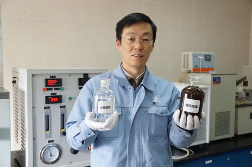 生物技術解決地溝油問題 年處理10萬噸的環保新途徑
