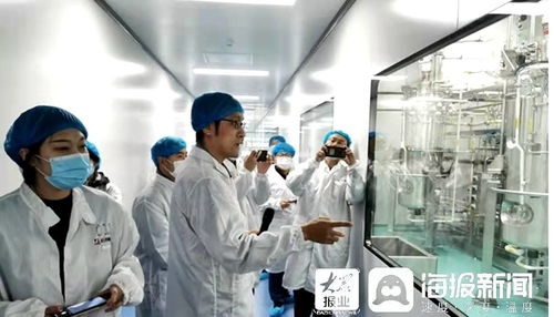 石藥集團煙臺生物醫藥高科技產業園 打造全國最大生物醫藥產業化基地，融合通信技術開發新動能