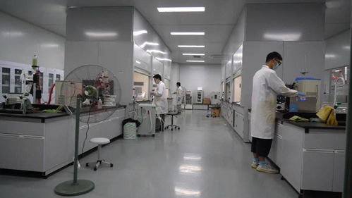 千帆競發浪潮涌 三門以通信技術開發為抓手，全力打造接滬融甬先行區