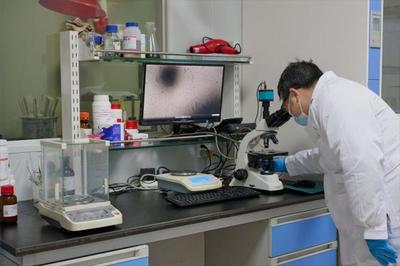 以生物造萬物 合成生物產業化提速，開啟生物技術研發新紀元