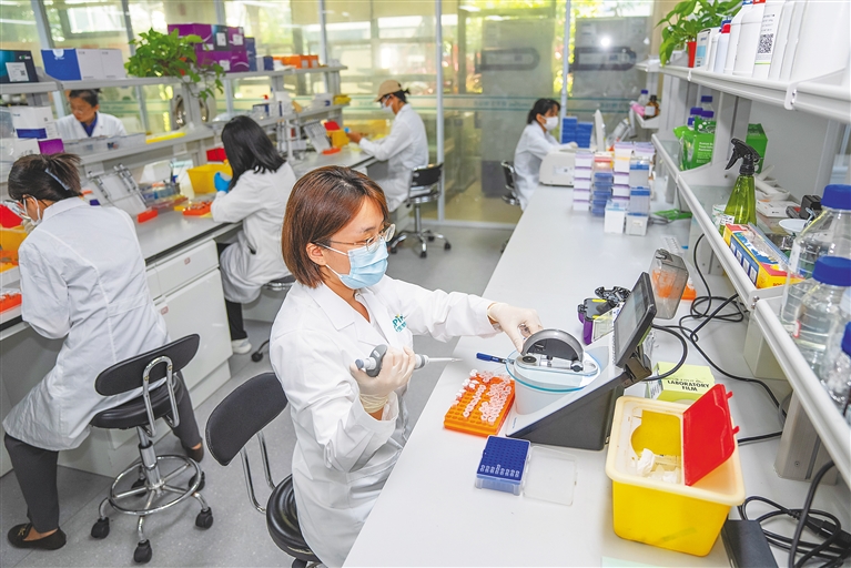 潛心科研，培育農業“芯”與通信技術開發的雙重革命