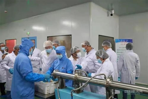 科技賦能“植物造肉” 中國首條高水分植物蛋白素肉生產線落戶方正，重構未來食品產業版圖